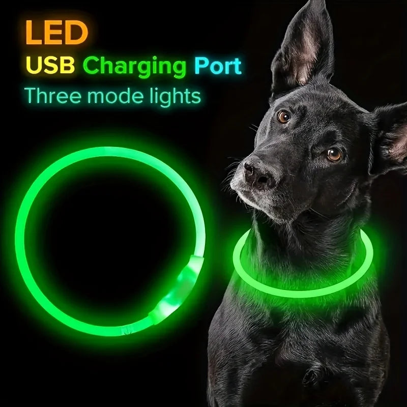 USB Rechargeable LED Dog Collar for Safety - Smarsty