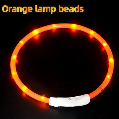USB Rechargeable LED Dog Collar for Night Safety - Smarsty