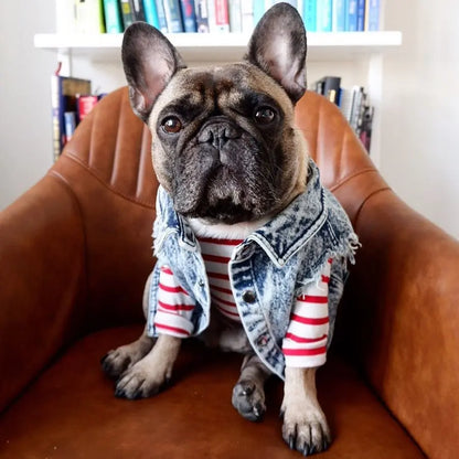 Denim Dog Jacket with Stylish Holes for All Seasons - Smarsty