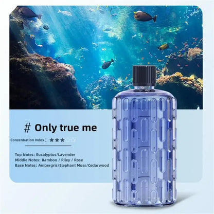 Aroma Diffuser Humidifier for Relaxing Aromatherapy - Smarsty
