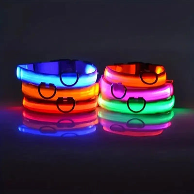 Nylon LED Glow In The Dark Dog Leash - Smarsty