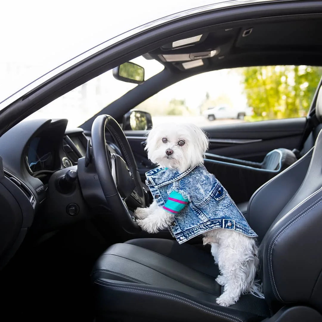 Denim Dog Jacket with Stylish Holes for All Seasons - Smarsty