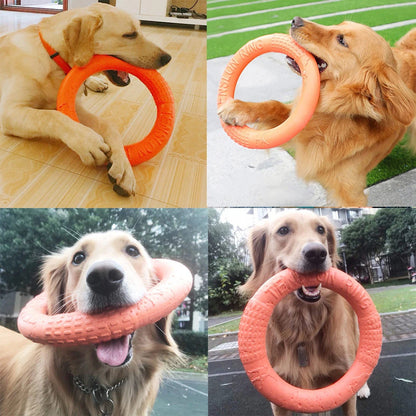 Interactive Dog Flying Disk Toy for Training - Smarsty