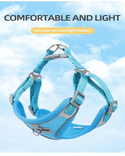 Reflective Dog Harness Leash Set for Outdoor Safety - Smarsty