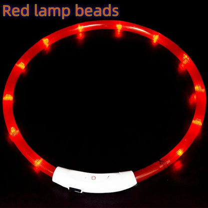 USB Rechargeable LED Dog Collar for Night Safety - Smarsty