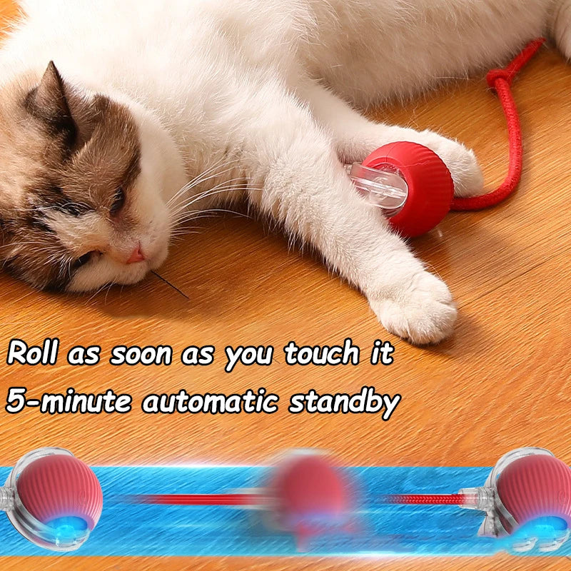 Interactive Rechargeable Cat Toy Ball With Faux Tail - Smarsty