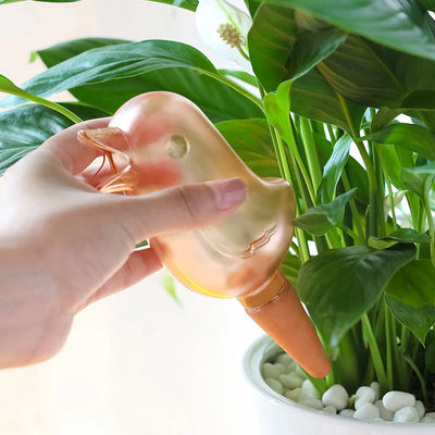 Automatic Plant Watering Bird Drop Irrigation Garden Home Use Percolator Drip Feeder for Potted Plants
