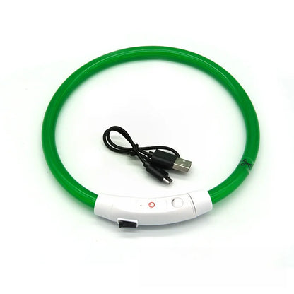 USB Rechargeable LED Dog Collar for Night Safety - Smarsty