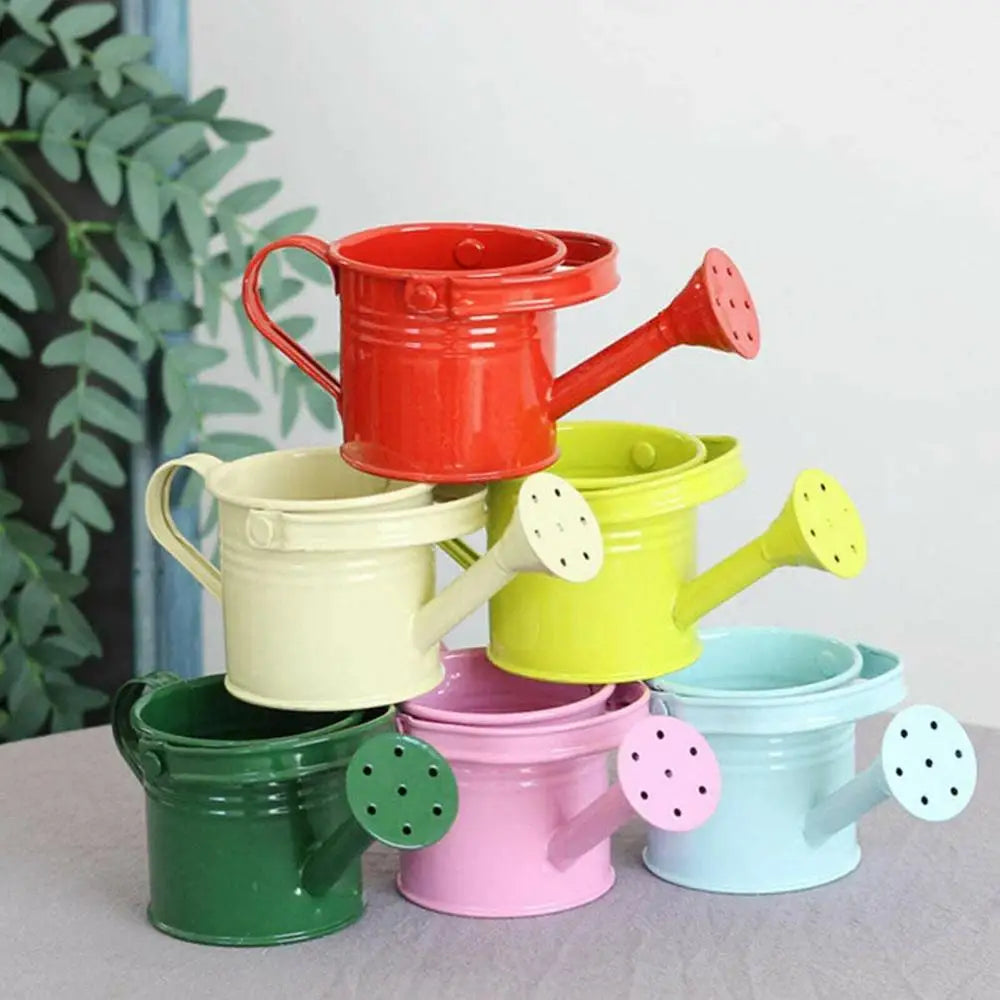 Metal Watering Can with Large Capacity for Easy Plant Care - Smarsty