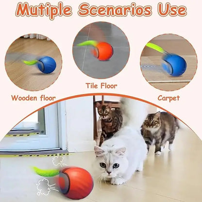 Interactive Electric Rolling Cat Ball Toy Rechargeable Fun - Smarsty