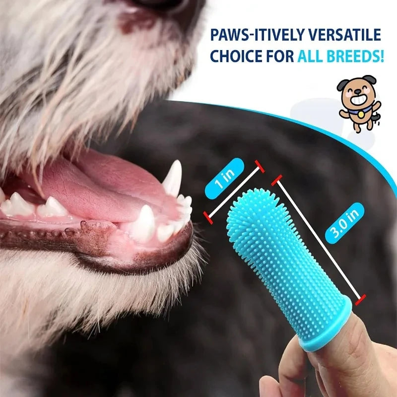 Interactive Cat Toy for Engaging Playtime and Training - Smarsty