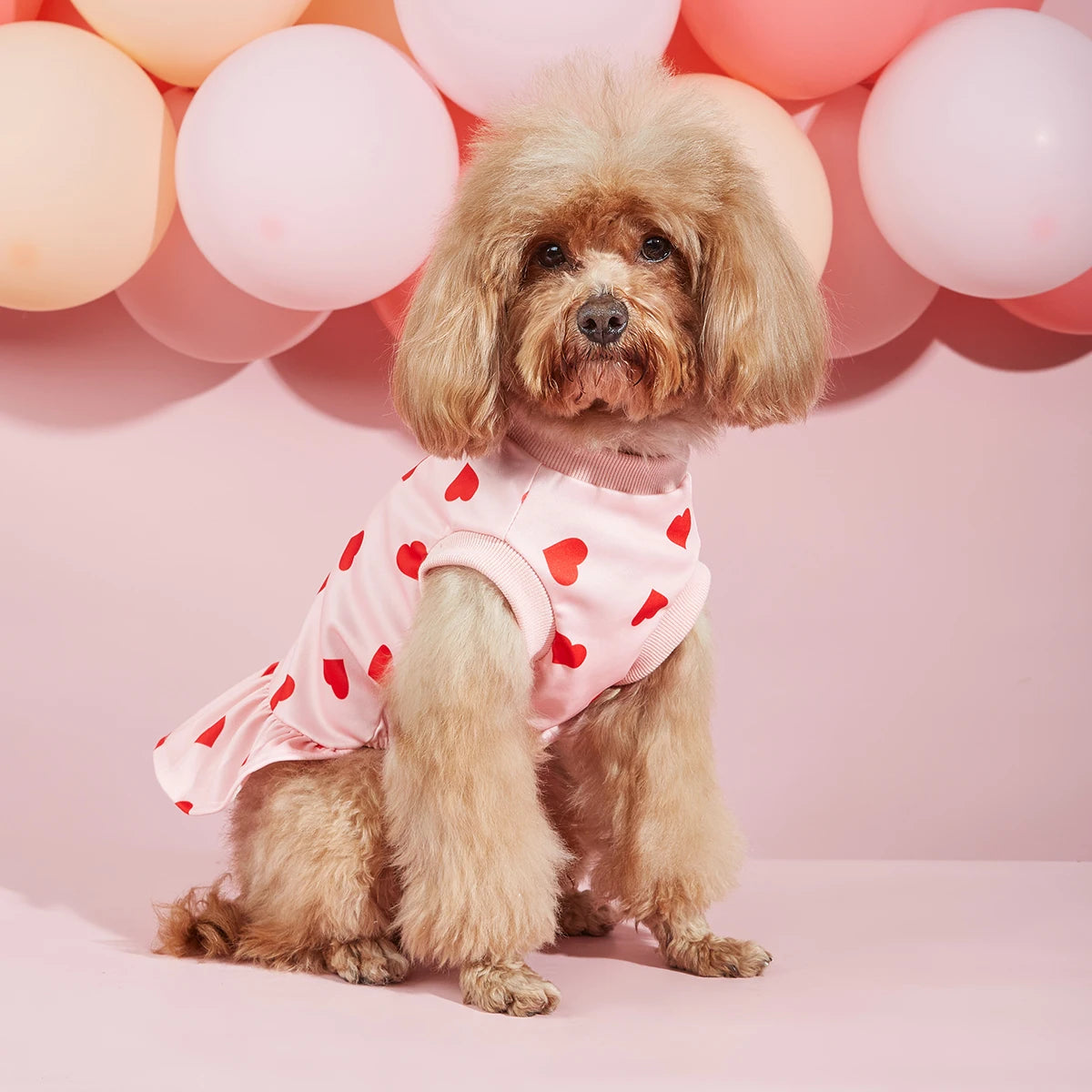 Valentines Day Dog Sweater Dress with Heart Pattern - Smarsty
