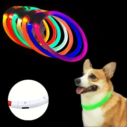 USB Rechargeable LED Dog Collar for Safety - Smarsty