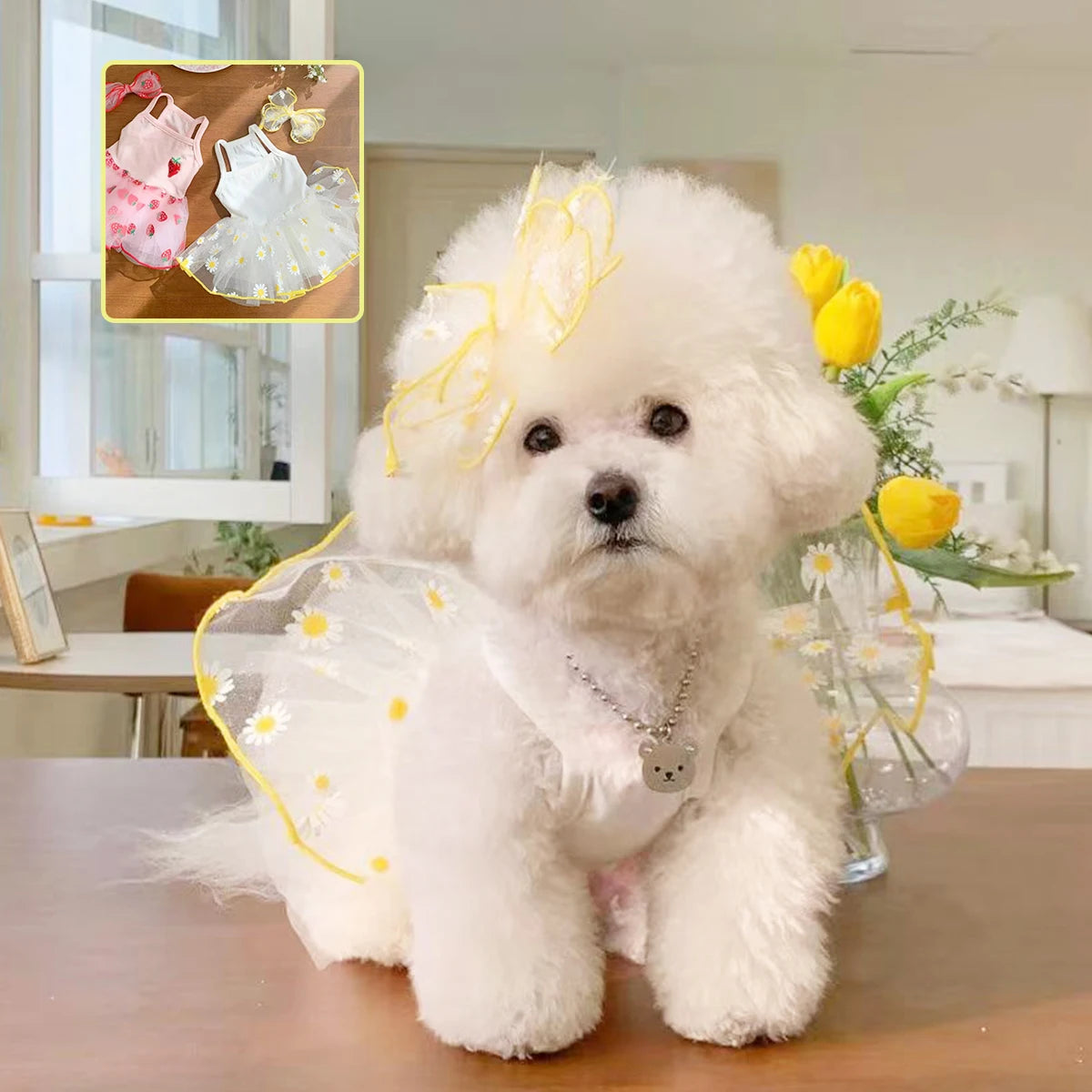 Thin Puppy Princess Skirt for Small Dogs - Smarsty