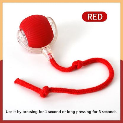 Interactive Smart Dog Toy Ball For Active Play - Smarsty