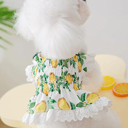 Luxury Strawberry Dog Dress for Spring and Summer - Smarsty