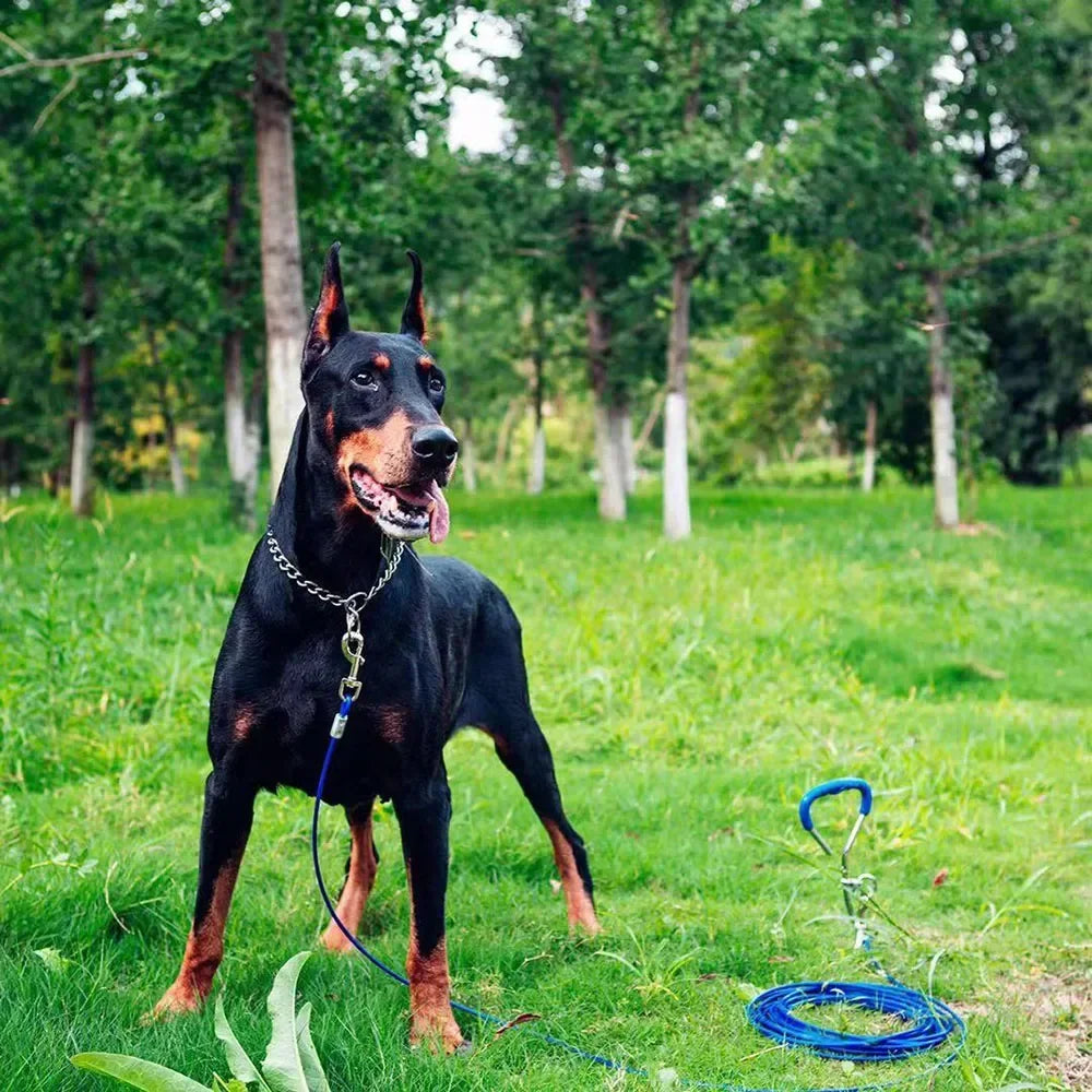 Stainless Steel Adjustable Dog Choke Collar for Training - Smarsty