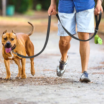Reflective Dog Harness Leash for Safe Night Walks - Smarsty