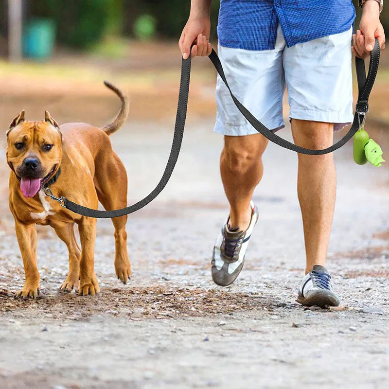 Reflective Dog Harness Leash for Safe Night Walks - Smarsty