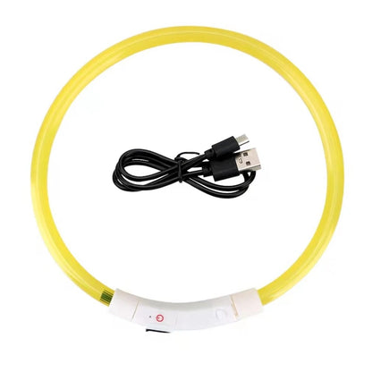 LED USB Dog Collar for Night Safety and Visibility - Smarsty