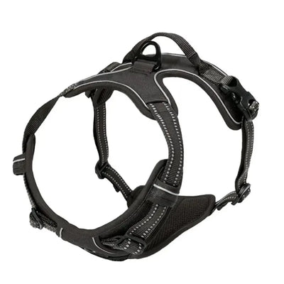 Personalized Leather Dog Harness and Collar Set - Smarsty