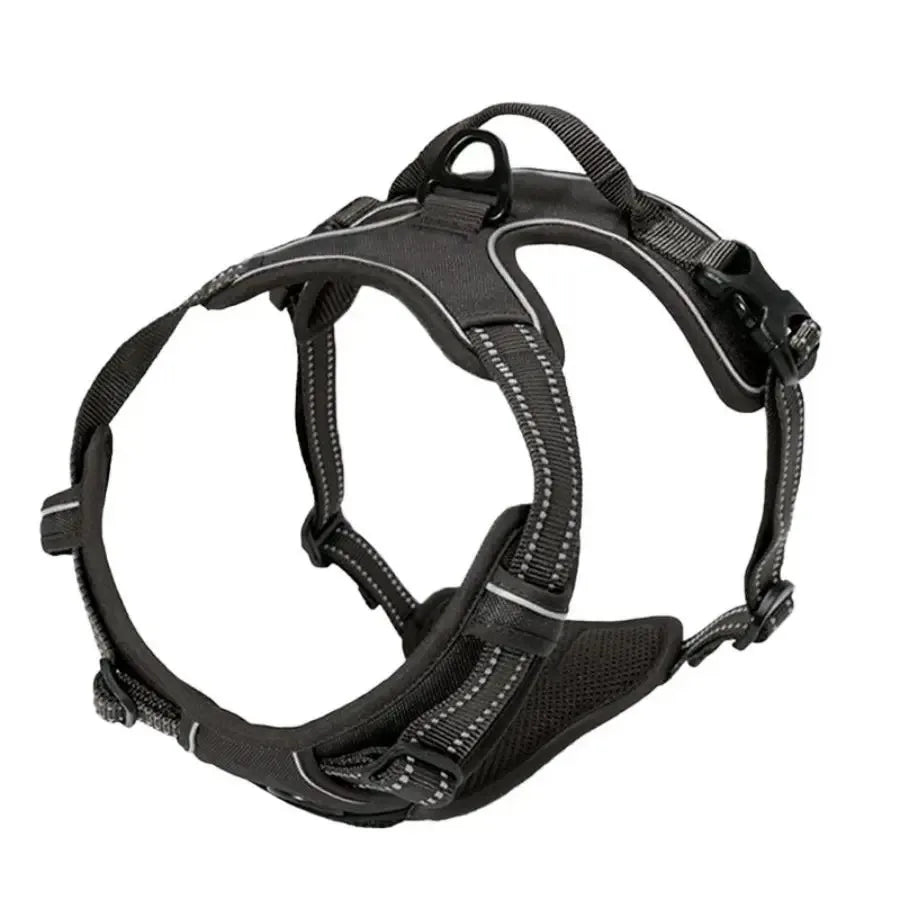 Personalized Leather Dog Harness and Collar Set - Smarsty