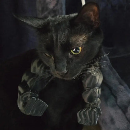 Cat Muscle Arm 3D Printed Costume Accessory for Pets - Smarsty