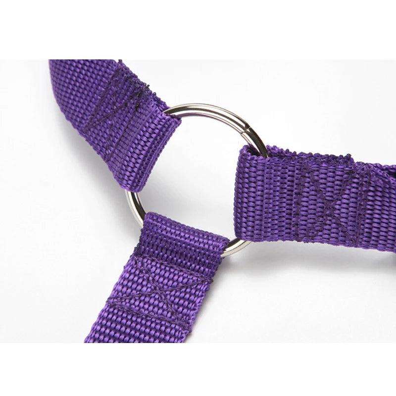 Adjustable Two-in-One Pet Car Seat Belt Harness - Smarsty