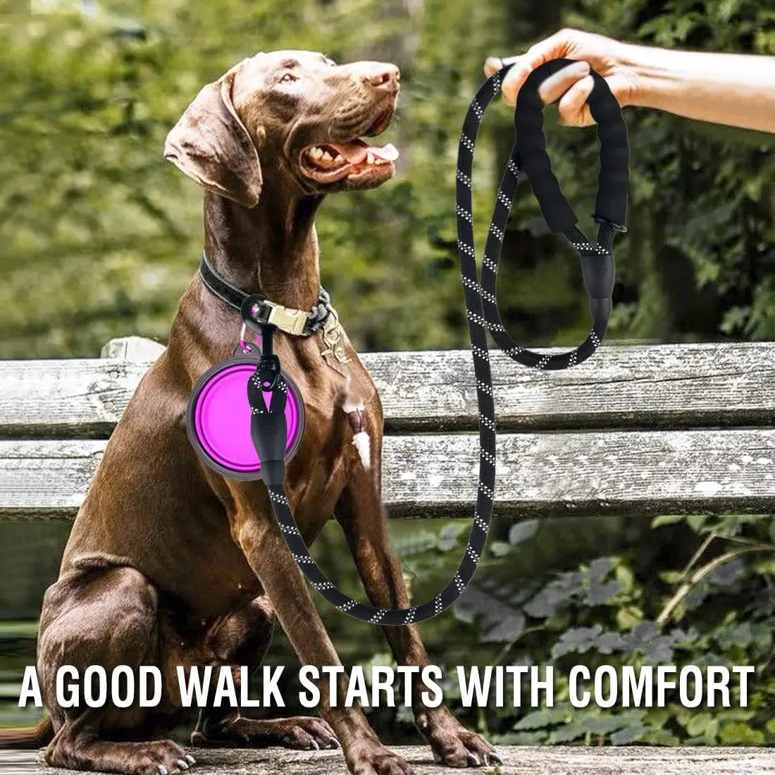Reflective Dog Leash for All Sizes with Breakaway Feature - Smarsty