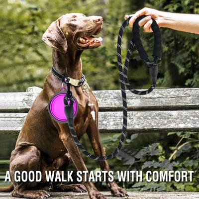 Reflective Dog Leash for All Sizes with Breakaway Feature - Smarsty