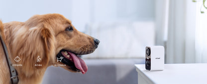 ieGeek 2 PCS 2K Wireless WiFi Surveillance Camera with Battery, Night Vision,Colour and AI & PIR Motion Detection,Outdoor/Indoor