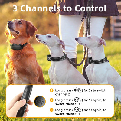 ROJECO Rechargeable Waterproof Dog Training Collar - Smarsty