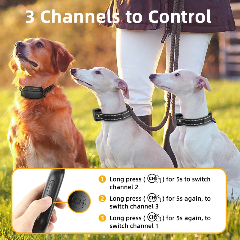 ROJECO Rechargeable Waterproof Dog Training Collar - Smarsty