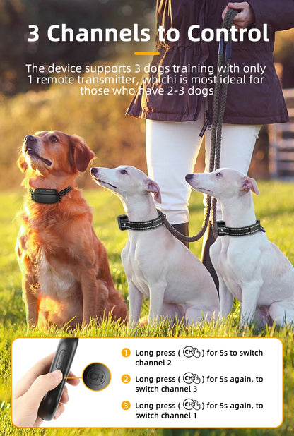 ROJECO Rechargeable Waterproof Dog Training Collar - Smarsty