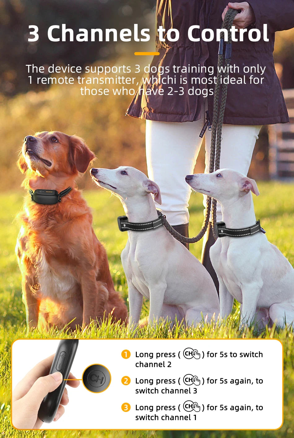 ROJECO Rechargeable Waterproof Dog Training Collar - Smarsty