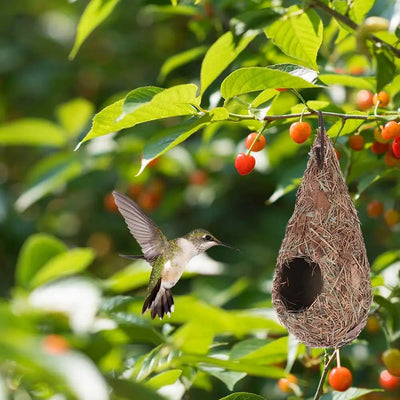 Natural Grass Bird House for Hummingbirds Cozy Nesting - Smarsty