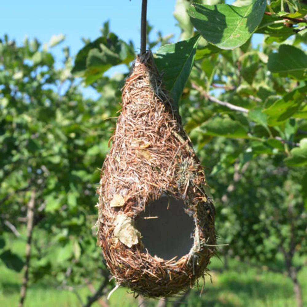Natural Grass Bird House for Hummingbirds Cozy Nesting - Smarsty