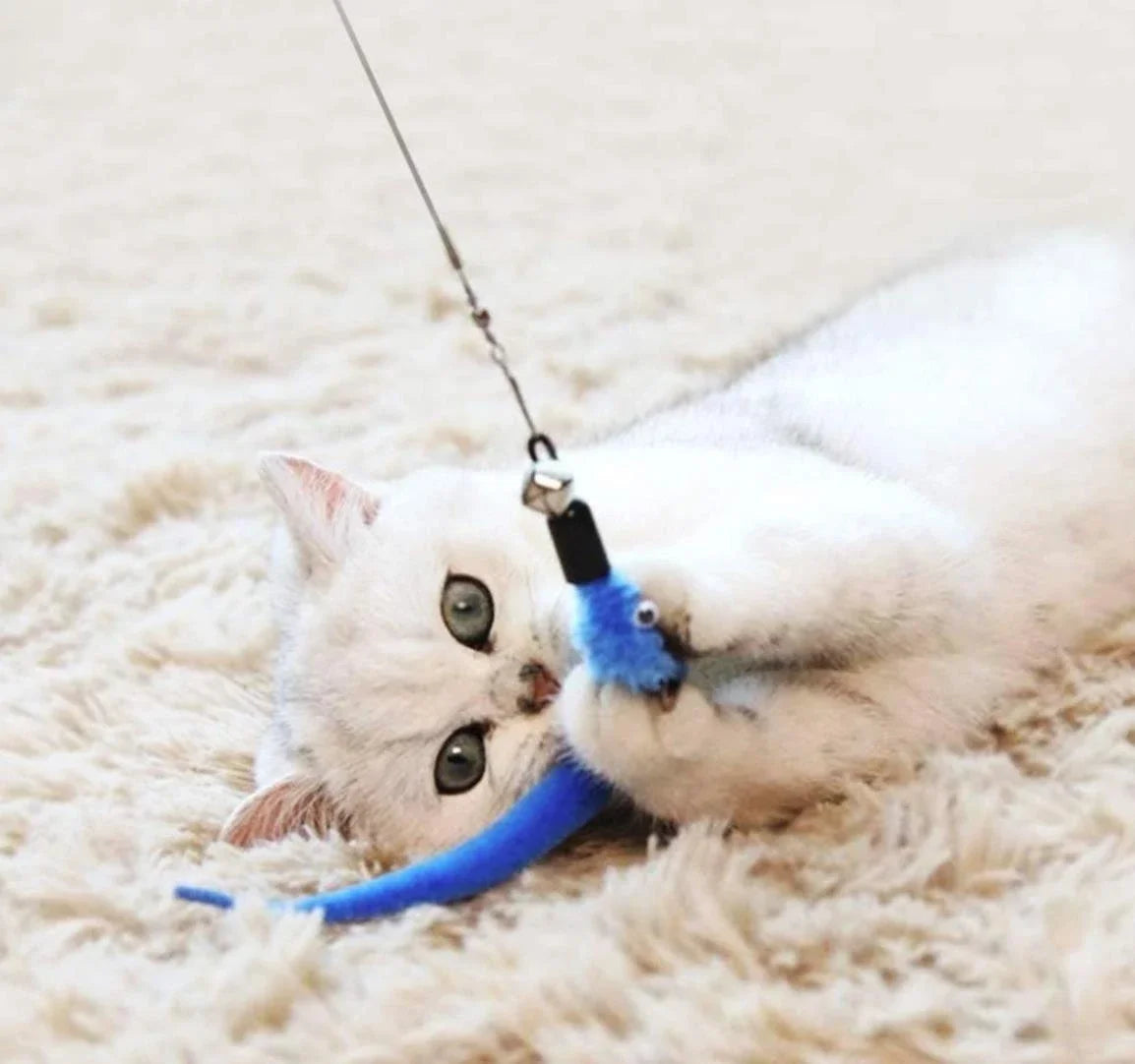 11 Piece Cat Feather Toy Replacement Set - Smarsty