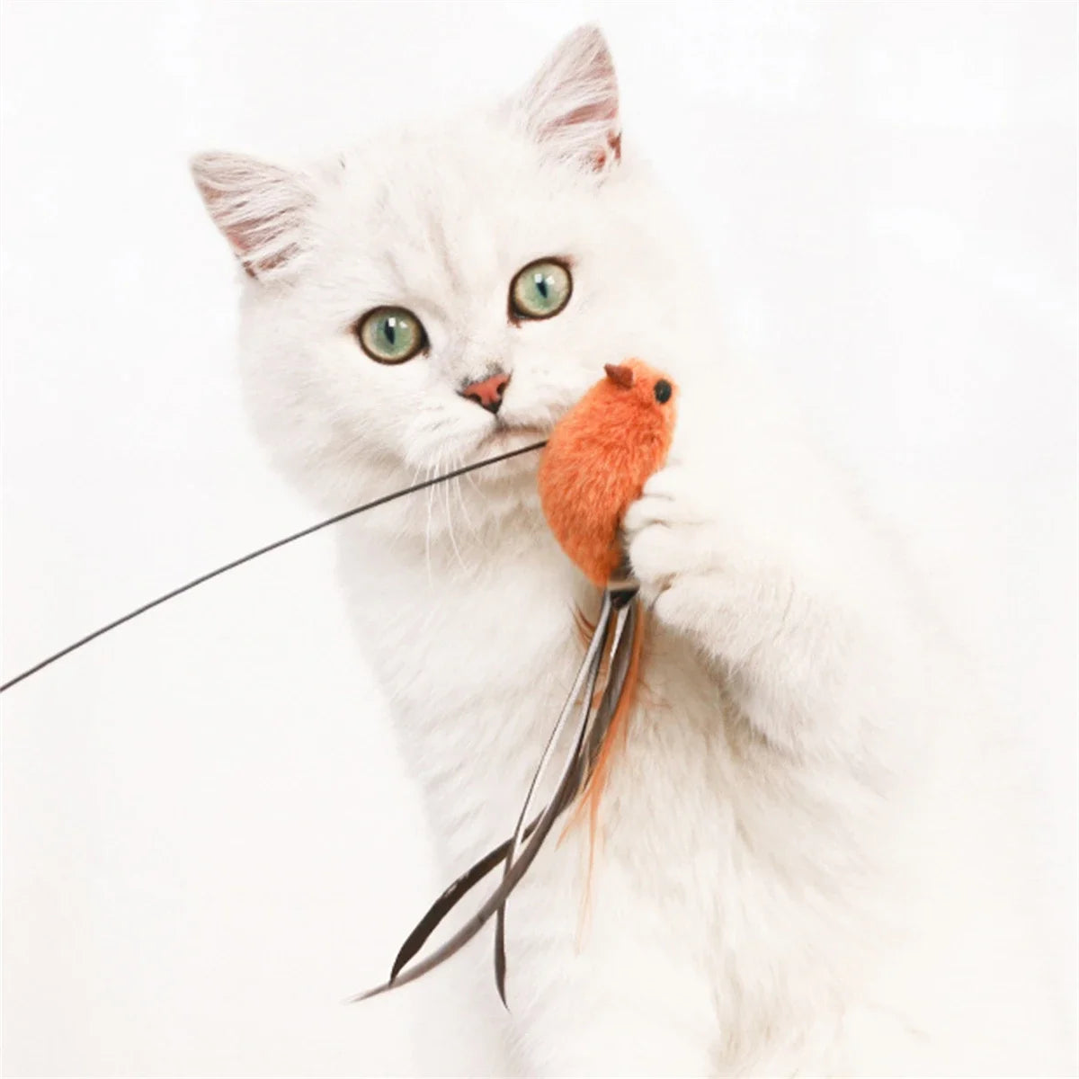 Upgraded Feather Cat Teasing Stick for Interactive Play - Smarsty