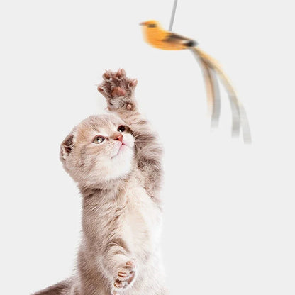 Upgraded Feather Cat Teasing Stick for Interactive Play - Smarsty
