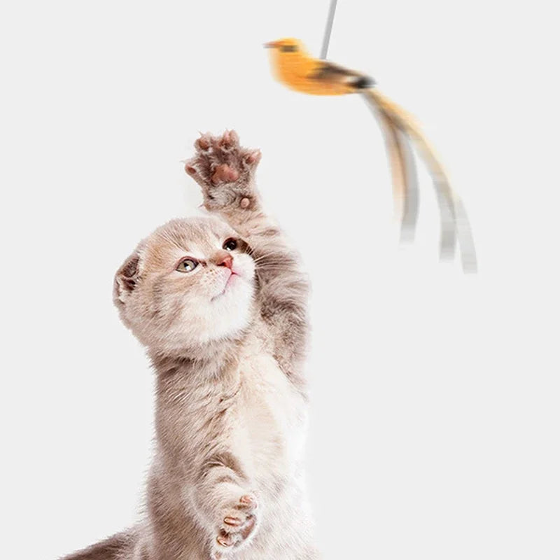 Upgraded Feather Cat Teasing Stick for Interactive Play - Smarsty