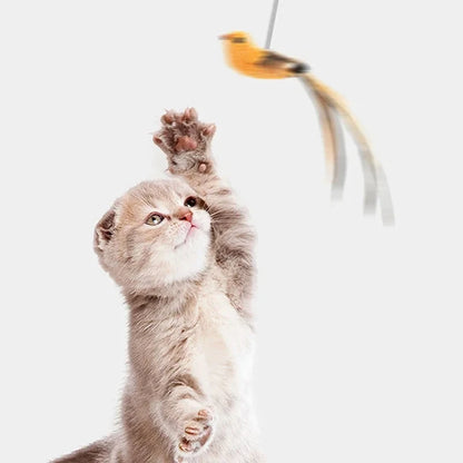Upgraded Feather Cat Teasing Stick for Interactive Play - Smarsty