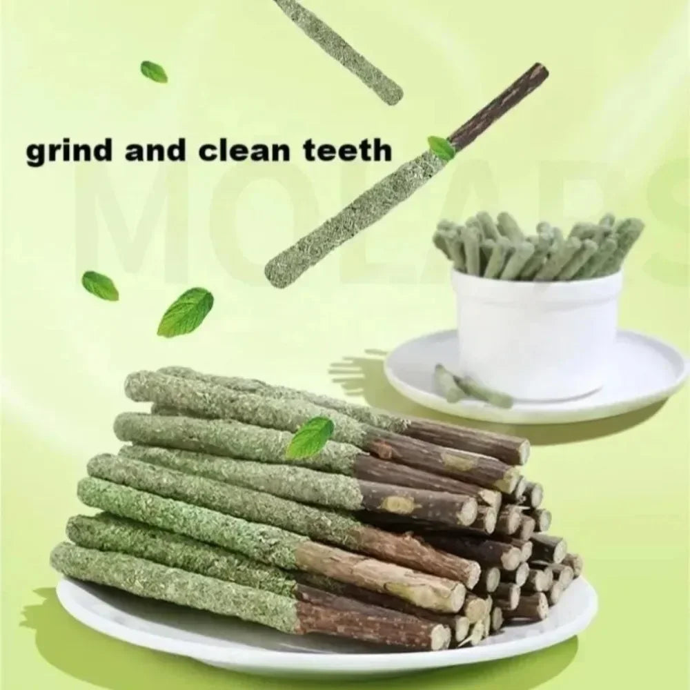 Natural Cat Sticks for Teeth Cleaning and Fun - Smarsty