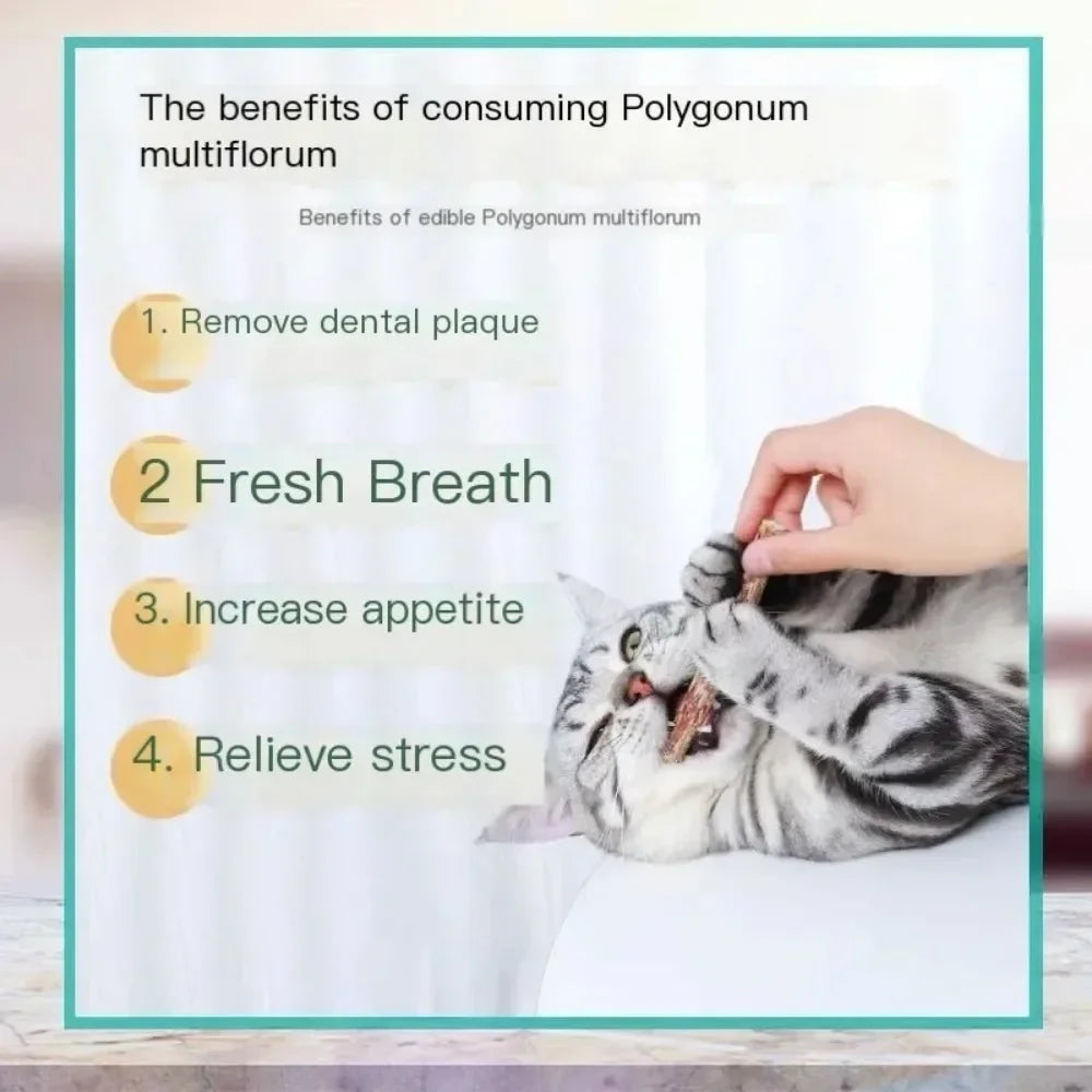 Natural Cat Sticks for Teeth Cleaning and Fun - Smarsty