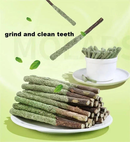 Natural Cat Sticks for Teeth Cleaning and Fun - Smarsty