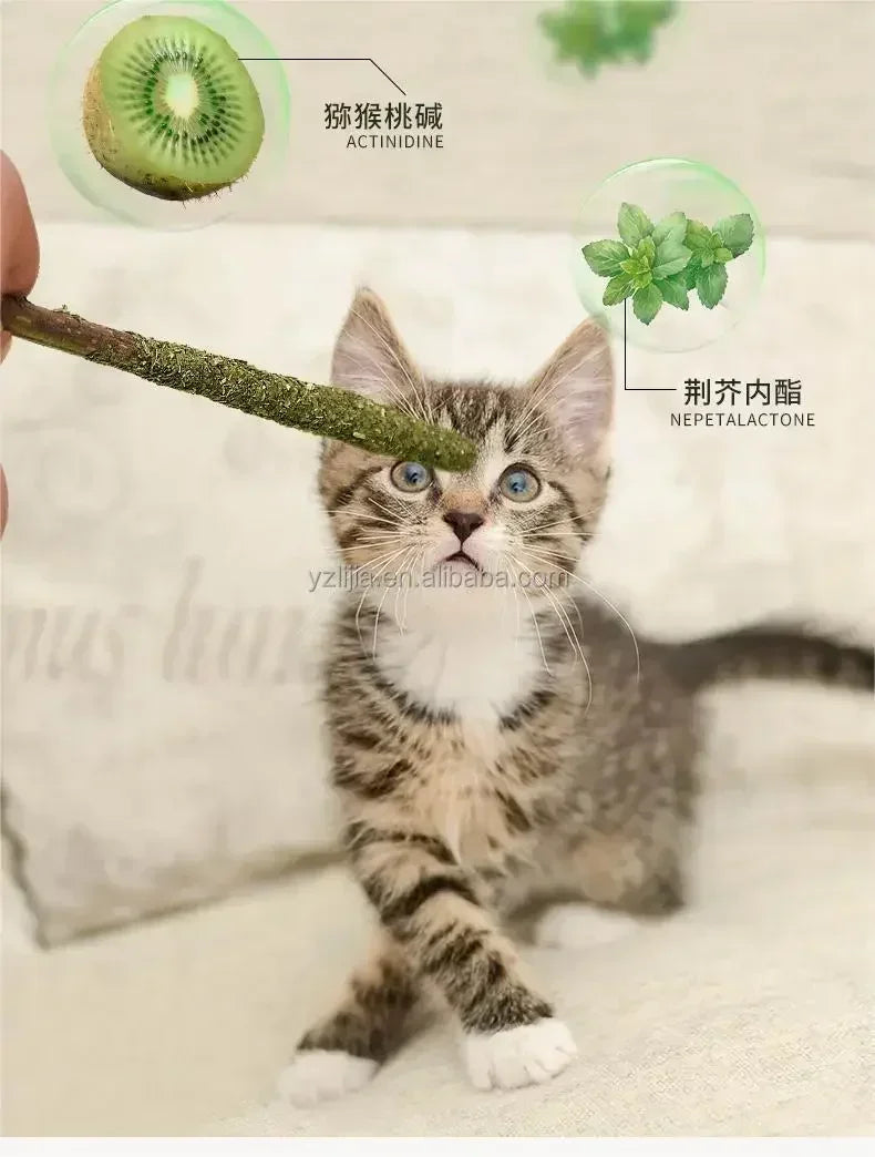 Natural Cat Sticks for Teeth Cleaning and Fun - Smarsty