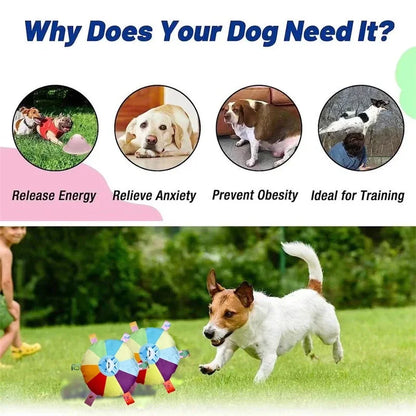 Plush Dog Frisbee Toy for Interactive Outdoor Fun - Smarsty