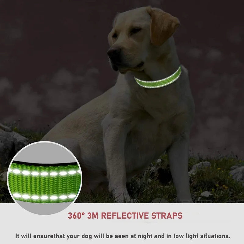 Decorative Small Dog Choker Collar for Puppies - Smarsty