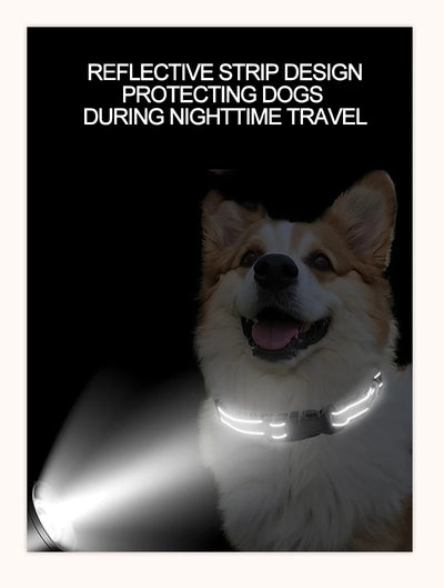Decorative Small Dog Choker Collar for Puppies - Smarsty