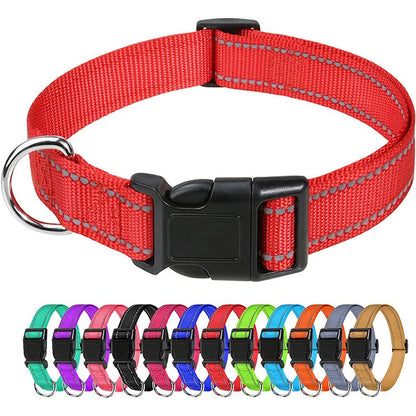 Decorative Small Dog Choker Collar for Puppies - Smarsty